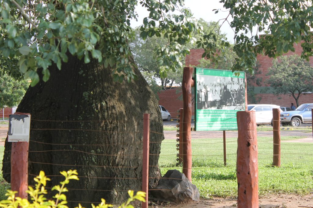 Calor y lluvias dispersas para el viernes