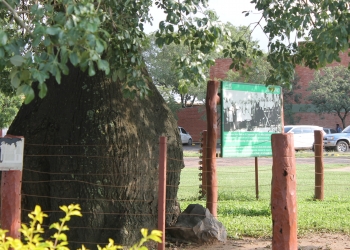 Calor y lluvias dispersas para el viernes