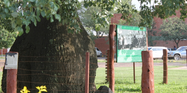Calor y lluvias dispersas para el viernes