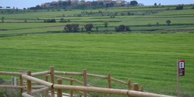 Los científicos advierten de que la política agraria de la UE perjudica la Red Natura Los científicos advierten de que la política agraria de la UE perjudica la Red Natura