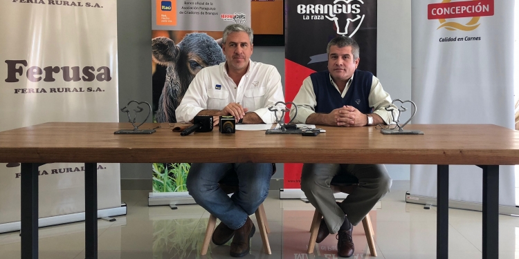 Nacional Brangus de Primavera 2018 vuelve a la pista de Mariano Roque Alonso Nacional Brangus de Primavera 2018 vuelve a la pista de Mariano Roque Alonso