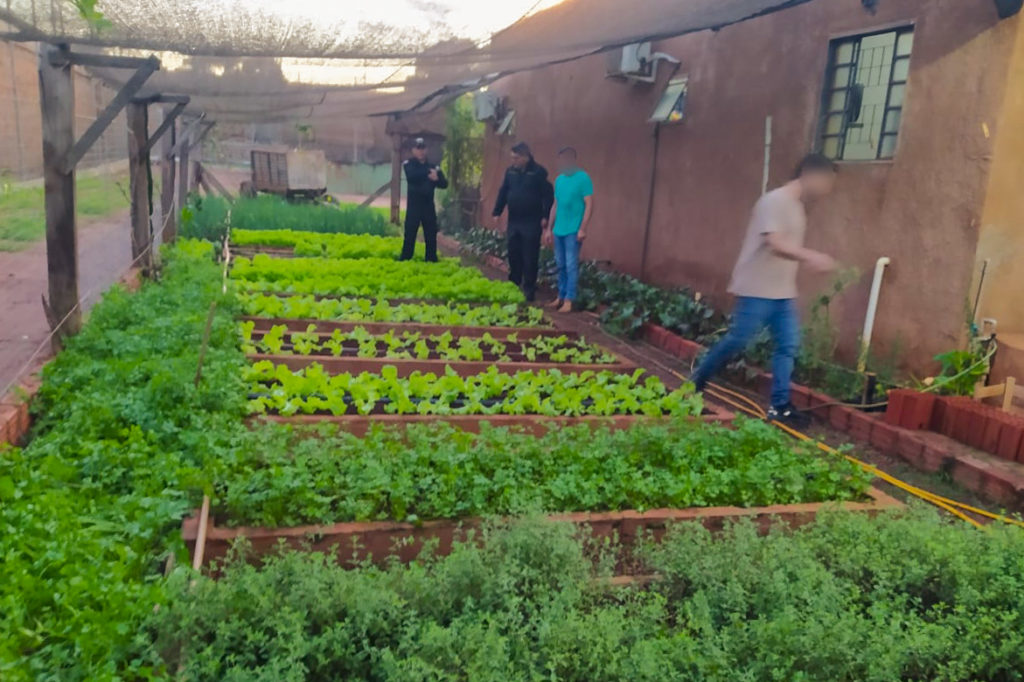 Internos  de PJC cultivan hortalizas y fabrican insumos de limpieza como parte de un programa de autosuficiencia y capacitación laboral