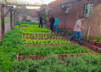 Internos  de PJC cultivan hortalizas y fabrican insumos de limpieza como parte de un programa de autosuficiencia y capacitación laboral
