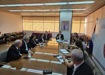 ANDE e INE coordinan censo para Programa de Inversión de Energía Sostenible en Paraguay