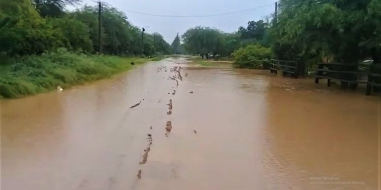 Gobierno decide rescatar en helicóptero a trabajadores varados en el Alto Paraguay Gobierno decide rescatar en helicóptero a trabajadores varados en el Alto Paraguay