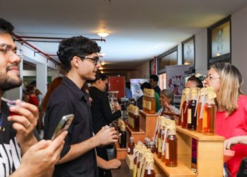 Más del 60% de empresas constituidas por “Acciones Simplificadas” son microempresas