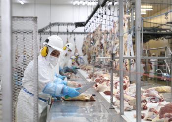 Apertura de nuevos mercados para la carne no será negativa para la oferta local, aseguran