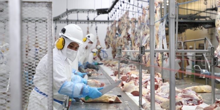 Apertura de nuevos mercados para la carne no será negativa para la oferta local, aseguran Apertura de nuevos mercados para la carne no será negativa para la oferta local, aseguran