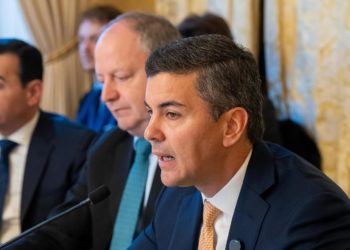 El MEF, como autoridad de aplicación, sigue sin poder ejercer un mejor control sobre las ONGs