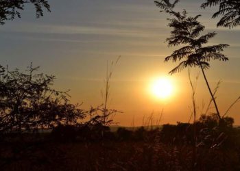 Ambiente fresco a cálido se extendería durante el resto de la semana